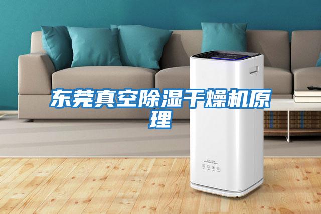 東莞真空除濕干燥機原理