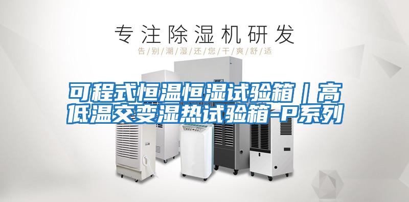 可程式恒溫恒濕試驗箱｜高低溫交變濕熱試驗箱-P系列