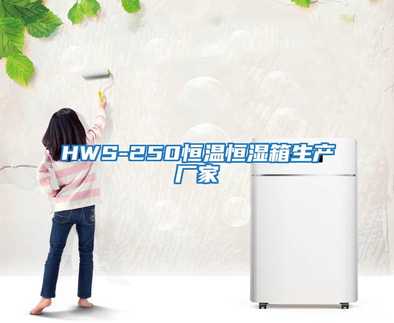 HWS-250恒溫恒濕箱生產廠家
