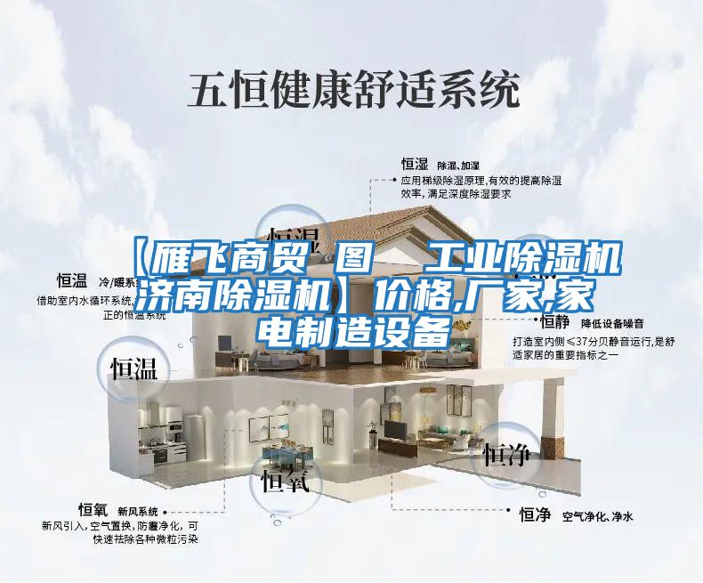 【雁飛商貿 圖  工業除濕機 濟南除濕機】價格,廠家,家電制造設備