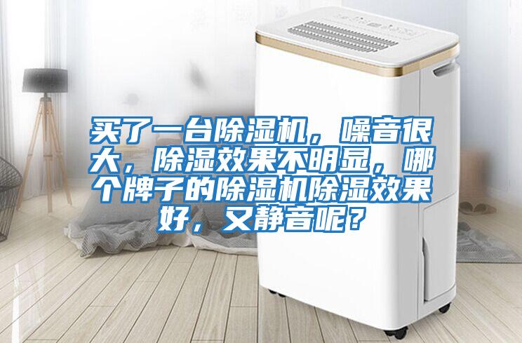 買了一臺除濕機，噪音很大，除濕效果不明顯，哪個牌子的除濕機除濕效果好，又靜音呢？