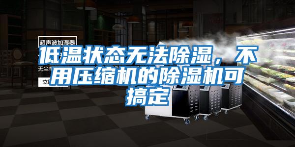 低溫狀態無法除濕，不用壓縮機的除濕機可搞定