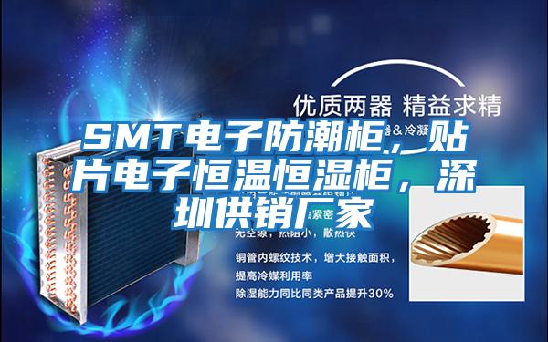 SMT電子防潮柜，貼片電子恒溫恒濕柜，深圳供銷廠家