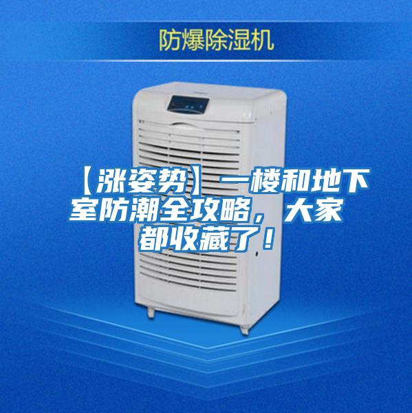 【漲姿勢】一樓和地下室防潮全攻略，大家都收藏了！