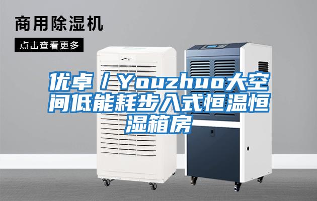 優卓／Youzhuo大空間低能耗步入式恒溫恒濕箱房