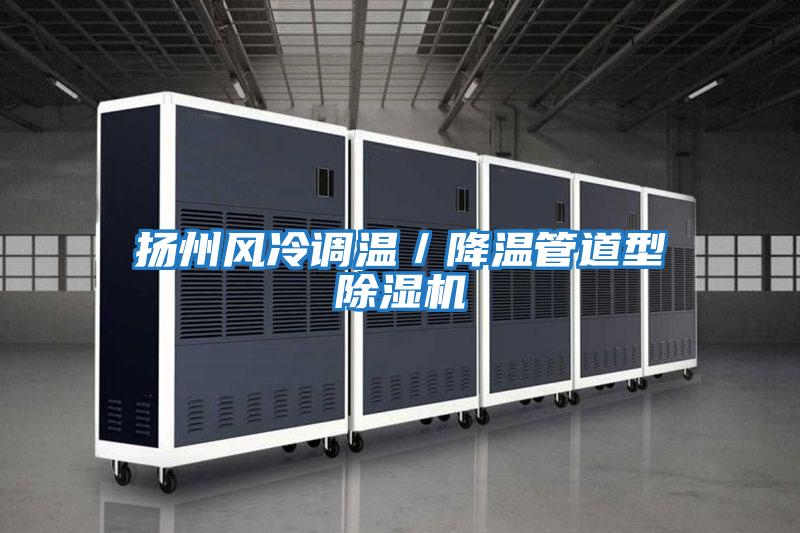 揚州風冷調溫／降溫管道型除濕機