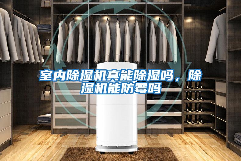 室內(nèi)除濕機(jī)真能除濕嗎,除濕機(jī)能防霉嗎