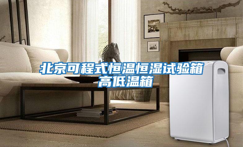 北京可程式恒溫恒濕試驗箱 高低溫箱