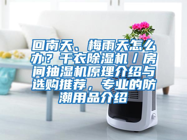 回南天、梅雨天怎么辦？干衣除濕機／房間抽濕機原理介紹與選購推薦，專業的防潮用品介紹
