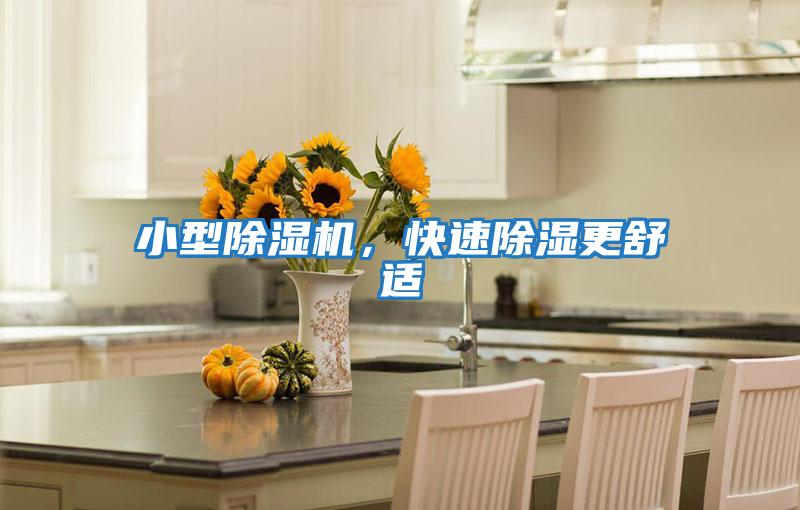 小型除濕機，快速除濕更舒適