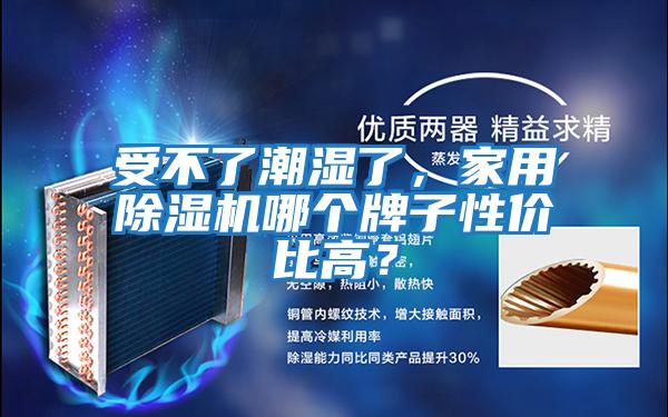 受不了潮濕了，家用除濕機哪個牌子性價比高？