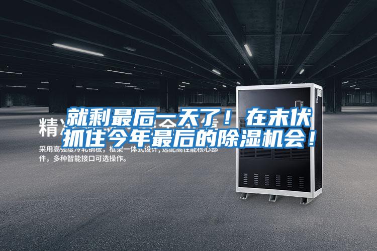 就剩最后一天了！在末伏抓住今年最后的除濕機會！