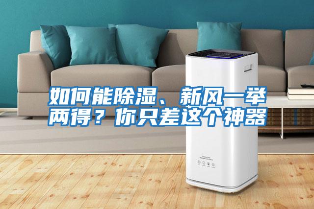 如何能除濕、新風一舉兩得？你只差這個神器