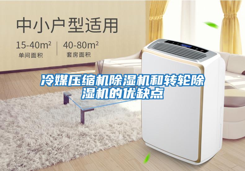 冷媒壓縮機除濕機和轉輪除濕機的優缺點