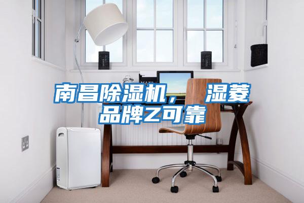 南昌除濕機(jī)， 濕菱品牌Z可靠