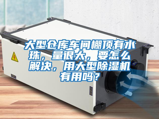大型倉(cāng)庫(kù)車間棚頂有水珠，量很大，要怎么解決，用大型除濕機(jī)有用嗎？