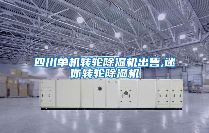 四川單機轉(zhuǎn)輪除濕機出售,迷你轉(zhuǎn)輪除濕機