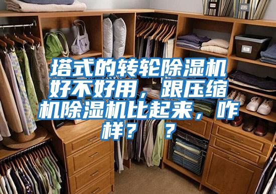 塔式的轉(zhuǎn)輪除濕機(jī)好不好用,跟壓縮機(jī)除濕機(jī)比起來(lái),咋樣? ?