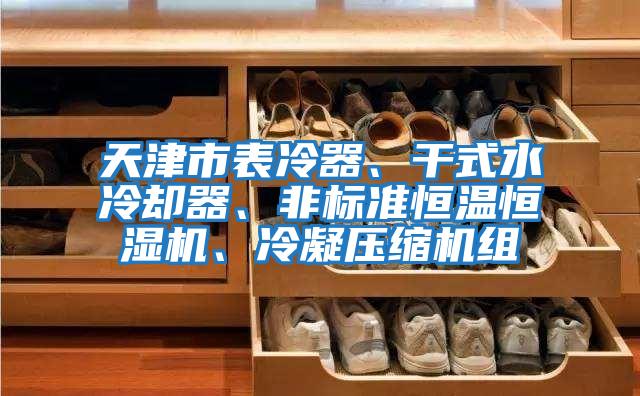 天津市表冷器、干式水冷卻器、非標(biāo)準(zhǔn)恒溫恒濕機(jī)、冷凝壓縮機(jī)組