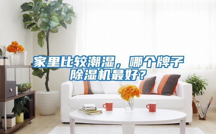 家里比較潮濕，哪個牌子除濕機最好？