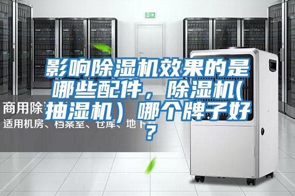 影響除濕機效果的是哪些配件，除濕機(抽濕機）哪個牌子好？
