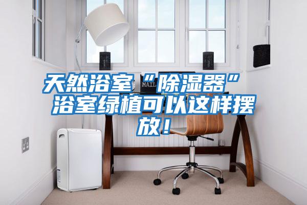 天然浴室“除濕器” 浴室綠植可以這樣擺放！