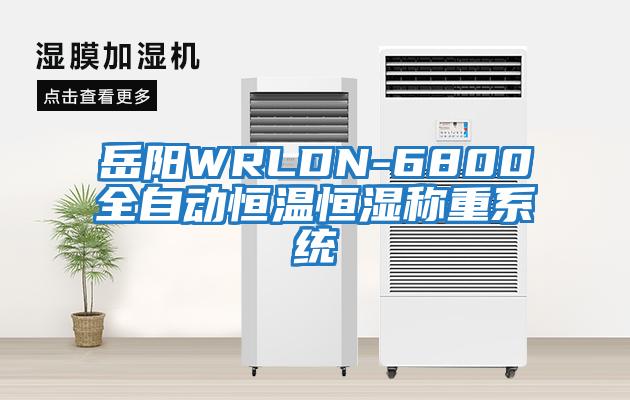 岳陽WRLDN-6800全自動恒溫恒濕稱重系統