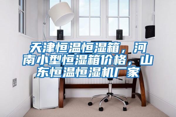 天津恒溫恒濕箱，河南小型恒濕箱價格，山東恒溫恒濕機廠家
