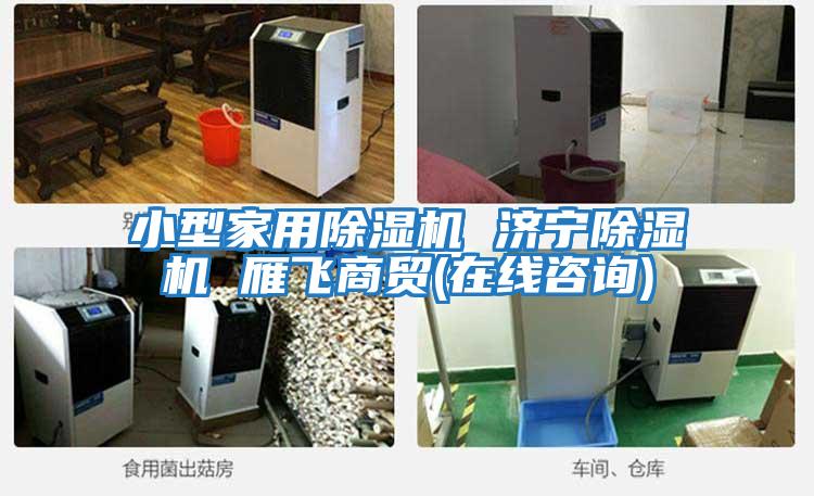小型家用除濕機 濟寧除濕機 雁飛商貿(在線咨詢)