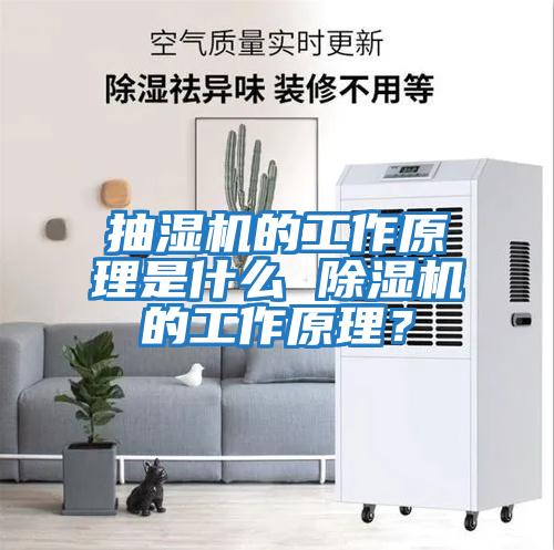 抽濕機的工作原理是什么 除濕機的工作原理?