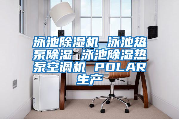 泳池除濕機 泳池熱泵除濕 泳池除濕熱泵空調機 POLAR生產(chǎn)