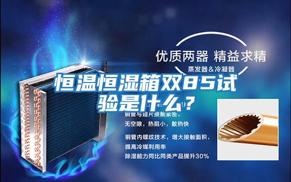 恒溫恒濕箱雙85試驗是什么？