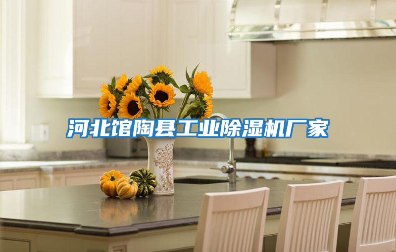河北館陶縣工業除濕機廠家