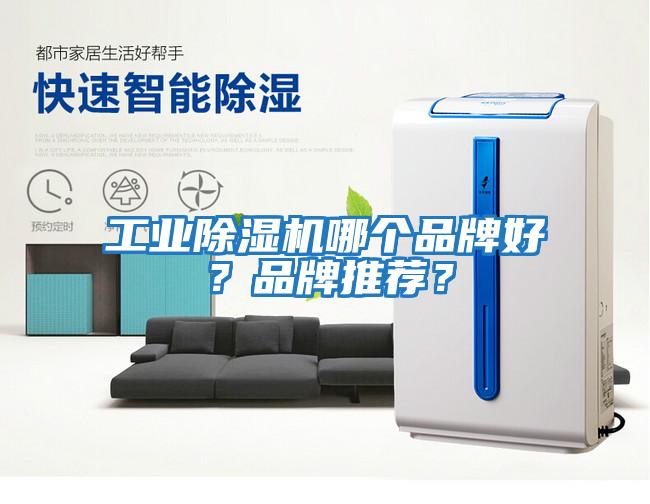 工業除濕機哪個品牌好？品牌推薦？