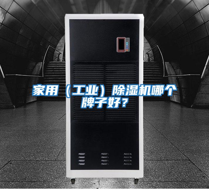 家用（工業）除濕機哪個牌子好？