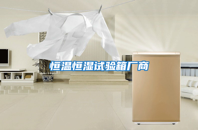 恒溫恒濕試驗(yàn)箱廠(chǎng)商