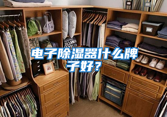 電子除濕器什么牌子好？