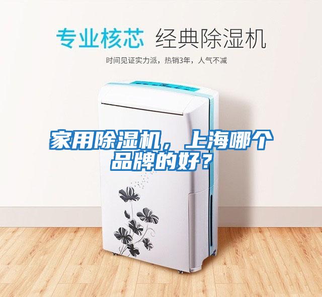 家用除濕機，上海哪個品牌的好？