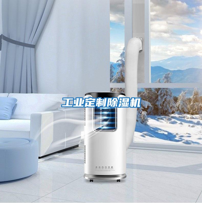 工業定制除濕機