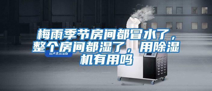 梅雨季節(jié)房間都冒水了，整個房間都濕了，用除濕機有用嗎