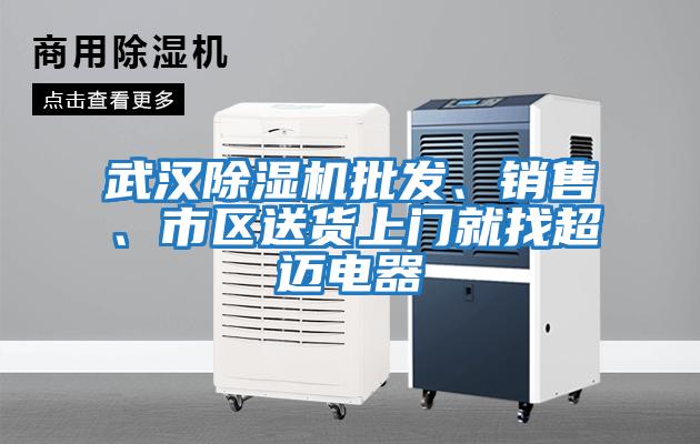 武漢除濕機批發(fā)、銷售、市區(qū)送貨上門就找超邁電器