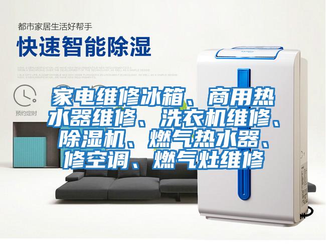 家電維修冰箱、商用熱水器維修、洗衣機維修、除濕機、燃氣熱水器、修空調、燃氣灶維修