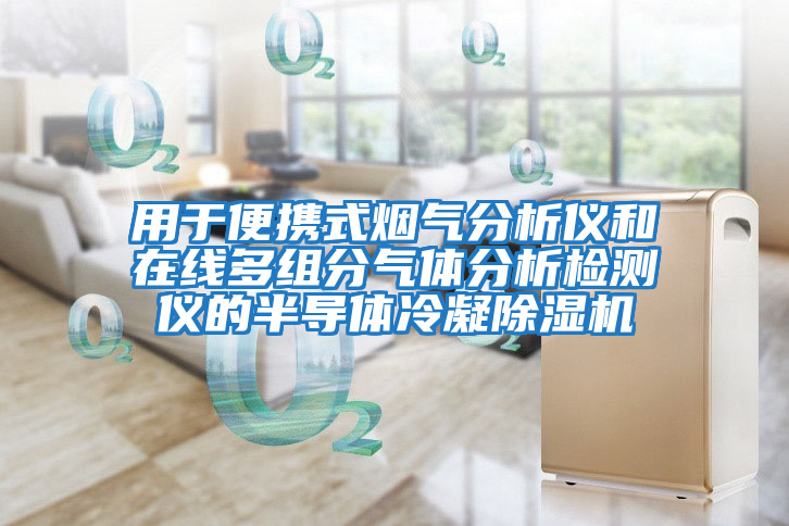 用于便攜式煙氣分析儀和在線多組分氣體分析檢測儀的半導(dǎo)體冷凝除濕機(jī)