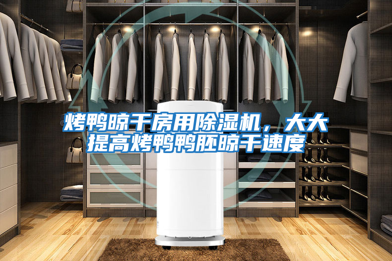 烤鴨晾干房用除濕機(jī)，大大提高烤鴨鴨胚晾干速度