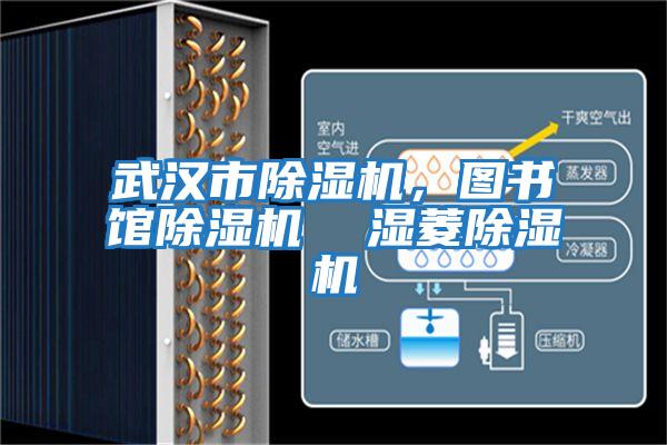 武漢市除濕機(jī)，圖書館除濕機(jī)  濕菱除濕機(jī)