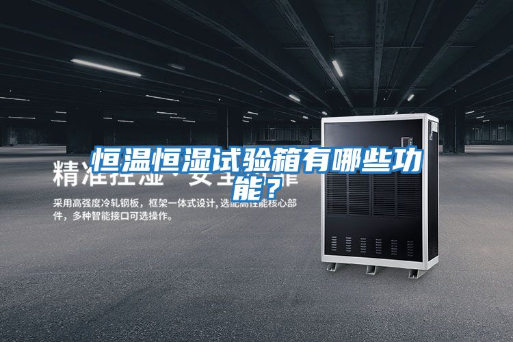 恒溫恒濕試驗箱有哪些功能？