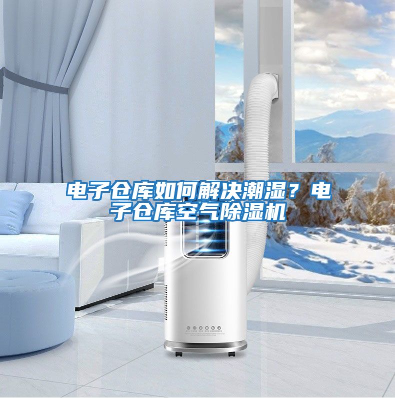 電子倉庫如何解決潮濕？電子倉庫空氣除濕機