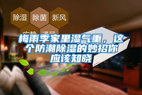 梅雨季家里濕氣重，這個防潮除濕的妙招你應該知曉