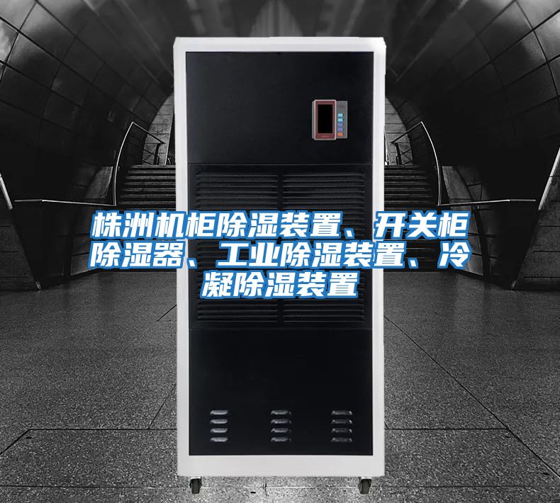 株洲機柜除濕裝置、開關柜除濕器、工業除濕裝置、冷凝除濕裝置