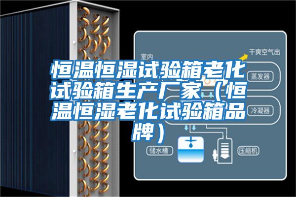恒溫恒濕試驗箱老化試驗箱生產(chǎn)廠家(恒溫恒濕老化試驗箱品牌)
